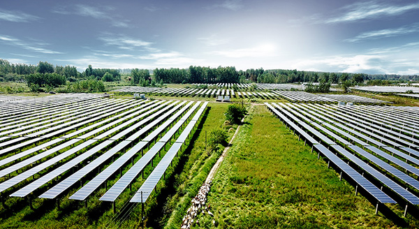 西班牙新政：农光互补项目可获农业补贴