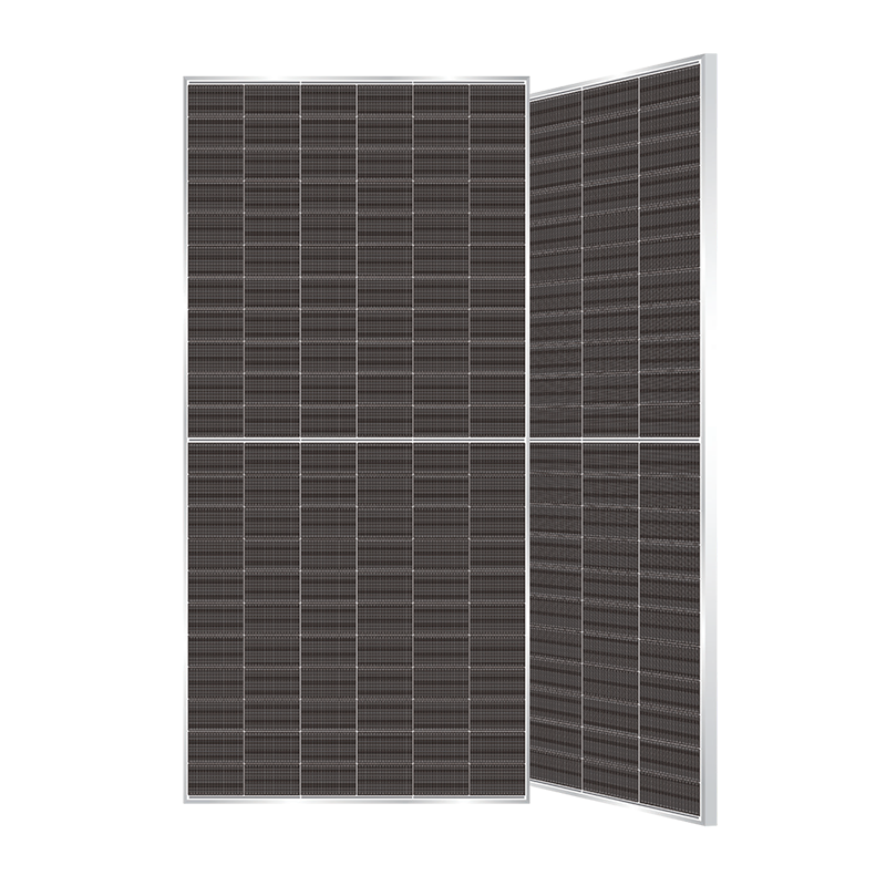 SP-210R-132DSxxx (600-630W) 双玻银框 30mm(BNPI)